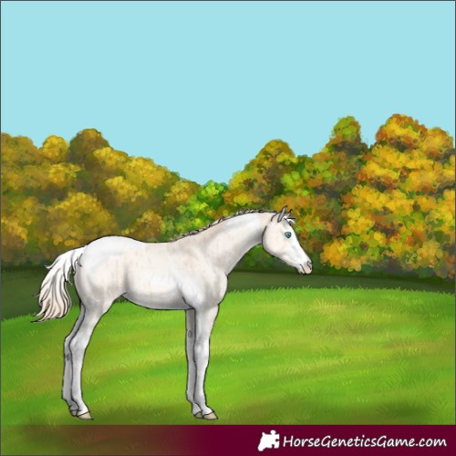 Horse Color:White Spotted Perlino Dun Tobiano Rabicano Brindle 