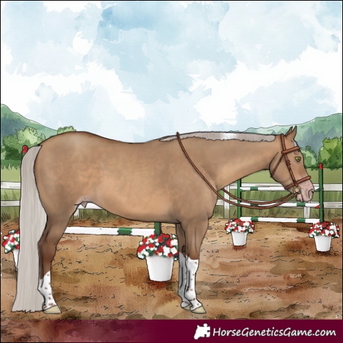 Horse Color:Gray Silver Sable Champagne Dun Tobiano 