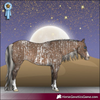 Horse Color:Blue Roan Frame and Silver Brown Dun Tobiano Frame