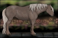 Horse Color:Silver Black 