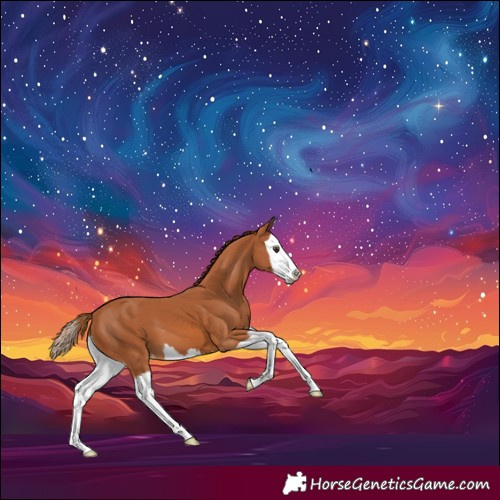 Horse Color:Chestnut Splash Varnish 