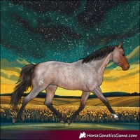 Horse Color:Bay Roan 