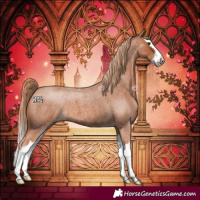 Horse Color:Red Roan Splash 