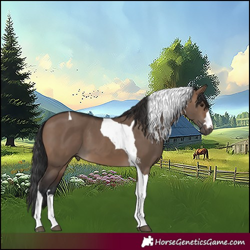 Horse Color:Brown Dun Tobiano 