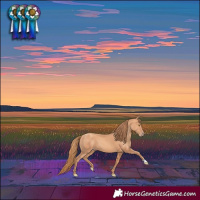 Horse Color:Gold Champagne