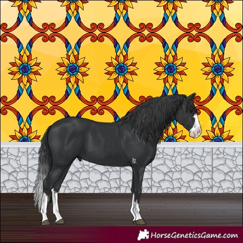 Horse Color:Black Splash 