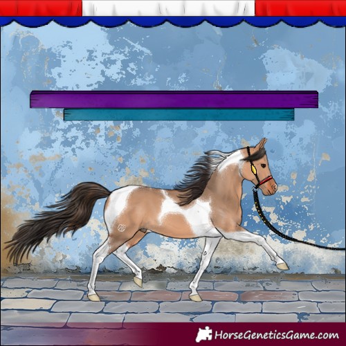 Horse Color:Bay Dun Tobiano 