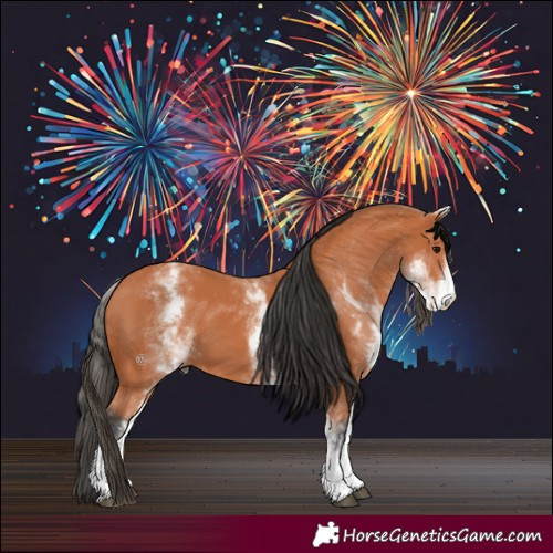 Horse Color:White Spotted Bay 