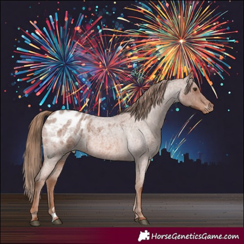 Horse Color:Red Roan Appaloosa 