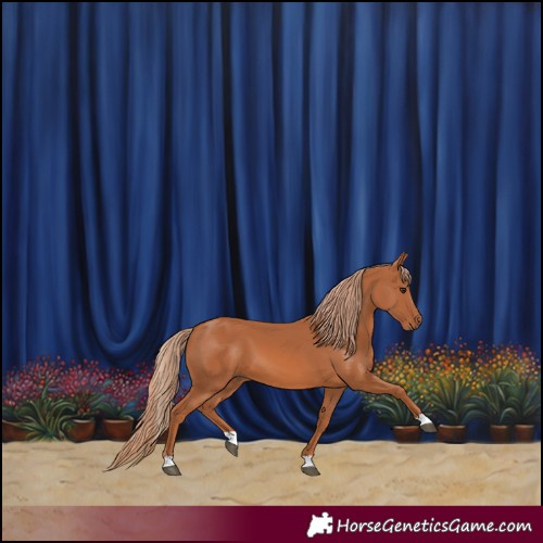 Horse Color:Chestnut 