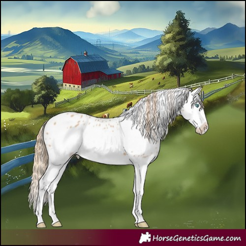 Horse Color:Red Dun Splash Frame Appaloosa 