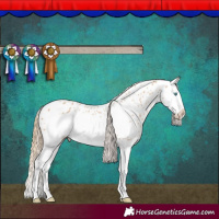 Horse Color:Red Dun Splash Frame Near Leopard