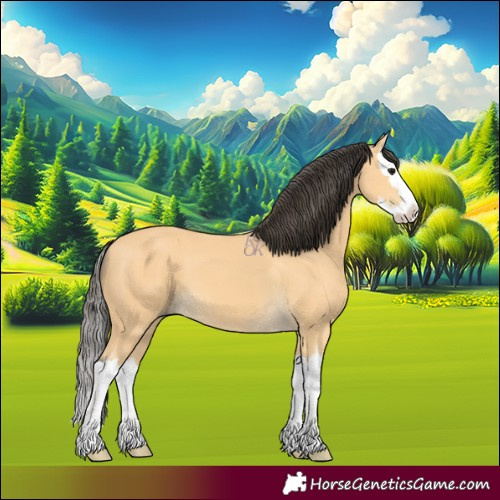 Horse Color:Buckskin Splash 