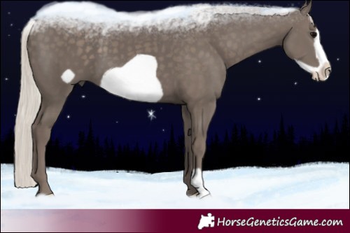 Horse Color:Silver Black Frame