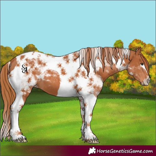 Horse Color:Chestnut Tobiano 