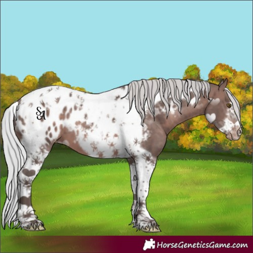 Horse Color:Platinum Silver Brown Tobiano Frame Appaloosa 