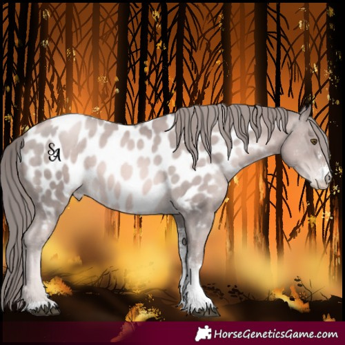 Horse Color:Platinum Liver Chestnut Pearl Sabino Near Leopard 