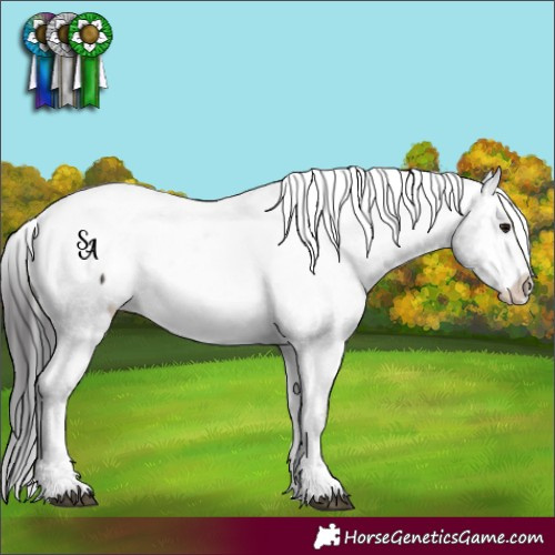 Horse Color:Platinum Brown Sabino Appaloosa 