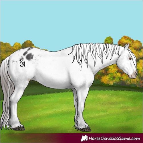 Horse Color:Platinum Bay Varnish 