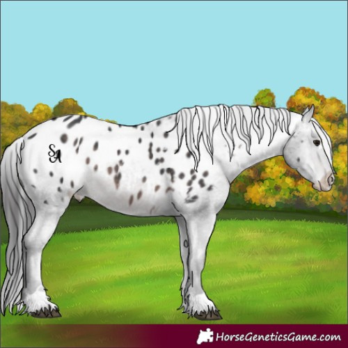 Horse Color:Platinum Brown Blanket 