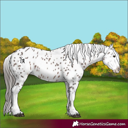 Horse Color:Platinum Liver Chestnut Near Leopard 