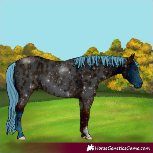 Horse Color:ERROR: UNKNOWN ANOMALY