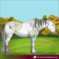 Horse Color:White Spotted Buckskin Dun Splash Tobiano 