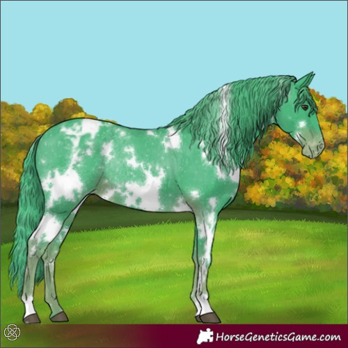 Horse Color:Watercolor White Spotted Liver Chestnut Varnish Rabicano