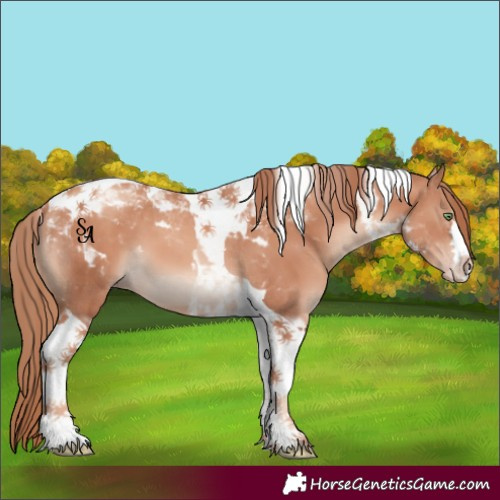 Horse Color:Gold Champagne Tobiano 