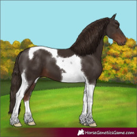 Horse Color:Liver Chestnut Tobiano 