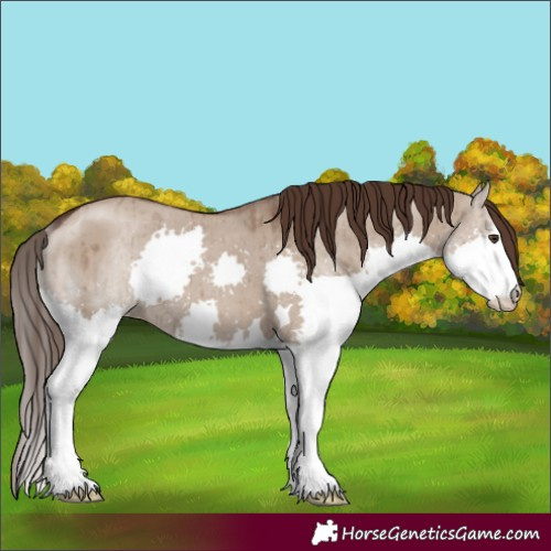 Horse Color:Liver Red Dun Splash Brindle 