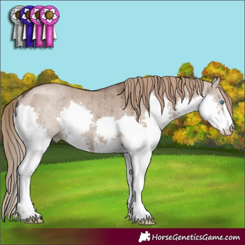 Horse Color:Liver Red Dun Splash Rabicano Brindle 
