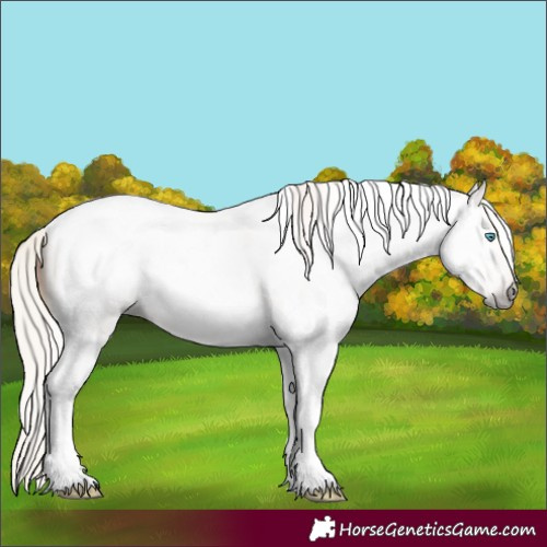 Horse Color:Gray Silver Amber Cream Champagne Roan Pearl Tobiano 