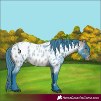 Horse Color:Watercolor Bay Roan Mushroom Appaloosa