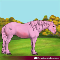 Horse Color:Watercolor Brown Mushroom