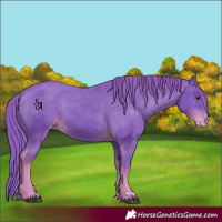 Horse Color:Watercolor Liver Chestnut Varnish Rabicano