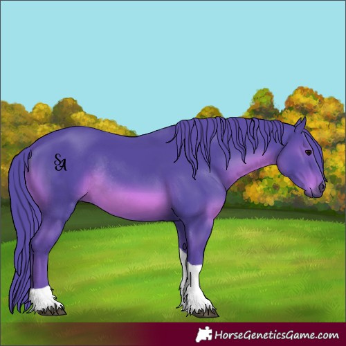 Horse Color:Watercolor Black Mushroom Tobiano Rabicano 