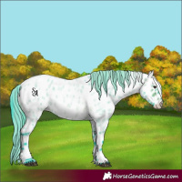 Horse Color:Watercolor Bay Roan Mushroom Appaloosa