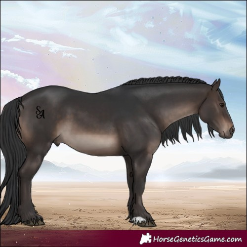 Horse Color:Brown Mushroom 