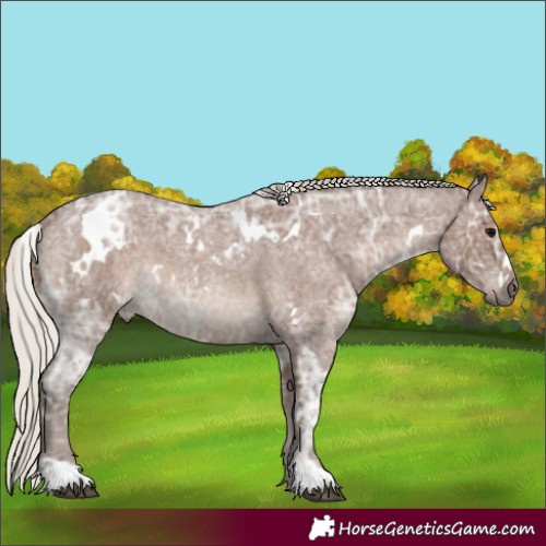 Horse Color:White Spotted Silver Blue Ice Roan Rabicano 