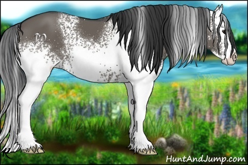 Horse Color:White Spotted Grullo Splash 