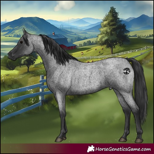 Horse Color:Blue Roan 