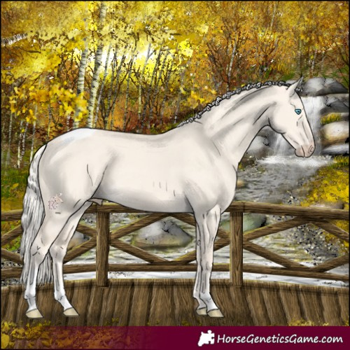 Horse Color:Cremello Dun Tobiano 