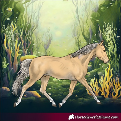 Horse Color:Palomino 