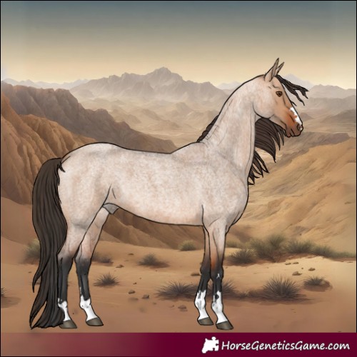 Horse Color:Bay Roan Dun 