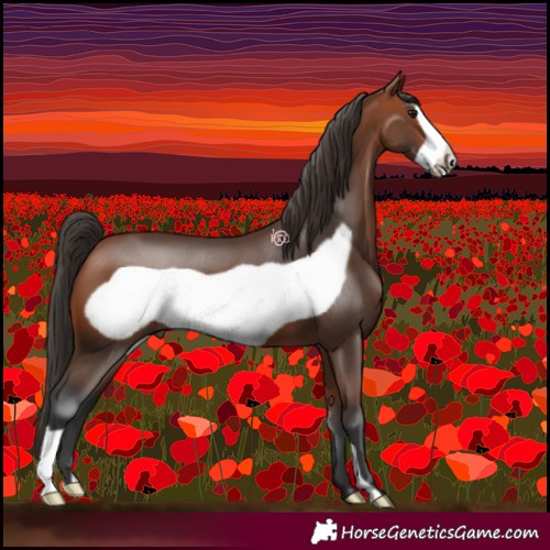 Horse Color:Bay Frame 