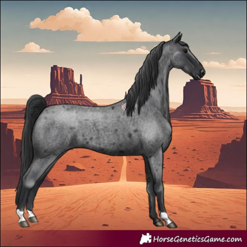 Horse Color:Blue Roan 