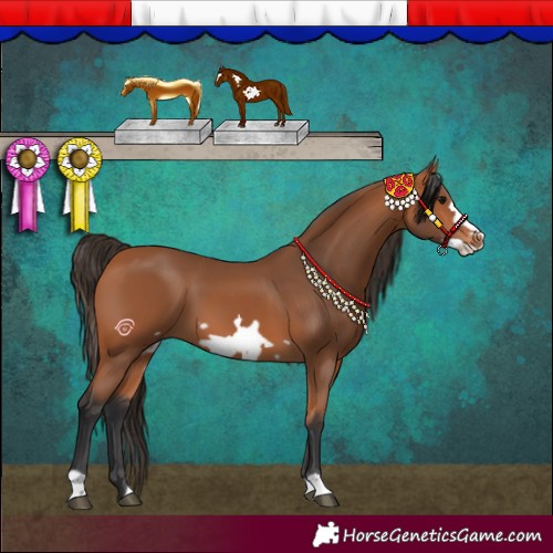 Horse Color:Bay Frame 
