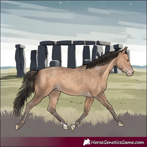 Horse Color:Amber Champagne 