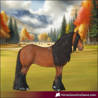 Horse Color:Bay Rabicano 